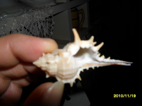 SAM_0646