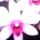 Dendrobium_orchidea_2_904832_47055_t