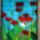 Poppies_956100_49695_t