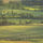Az_ur_az_en_pasztorom___zsolt_23__1_958189_42507_t