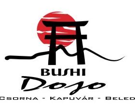 Bushi Dojo kép