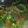 Testverem_kertje_959964_29781_t