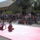 P7240044_905040_49691_t