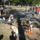 P7240059_905055_84580_t
