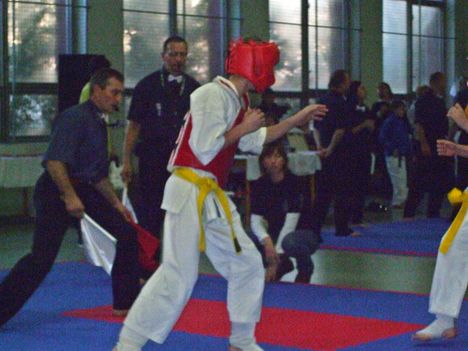 marcell karate 390