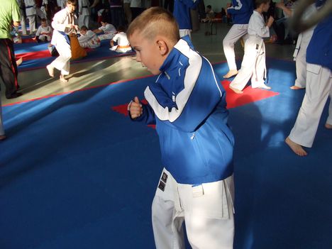 Karate 6