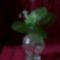 gyöngyhorgolt váza virággal