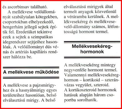 MELLÉKVESE-HORMONOK. 4