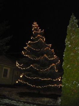 Szentpáli karácsonyfa