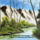 Vizeses_5_966698_26132_t