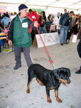 budapest európa kutya kiállitás 8
