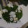 2010_viragkiallitas_kecel-034_969173_11431_t
