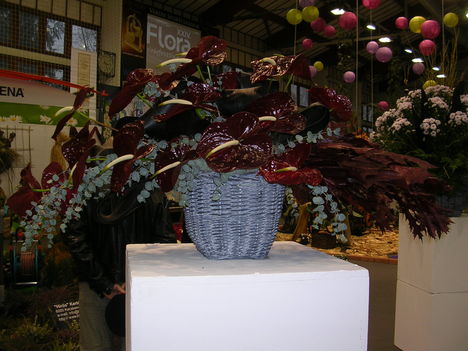 2010 virágkiállítás Kecel 10