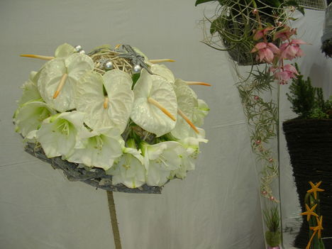 2010 virágkiállítás Kecel 1