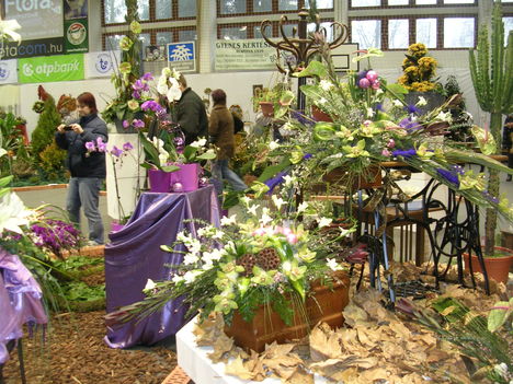 2010 virágkiállítás Kecel 6