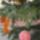 Cimg4313_969515_92344_t