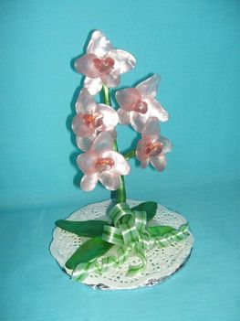 Karamell orhidea