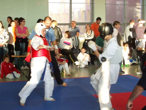 marcell karate 380