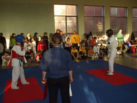 marcell karate 386