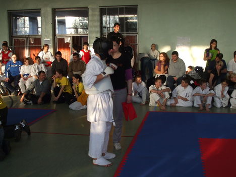marcell karate 387