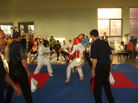 marcell karate 388