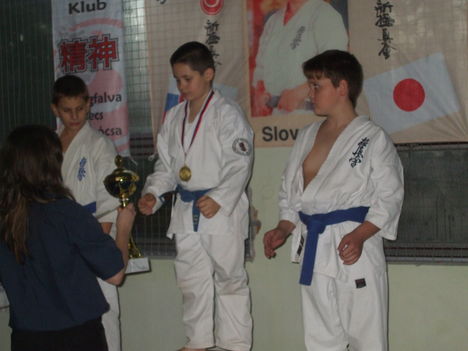 marcell karate 391