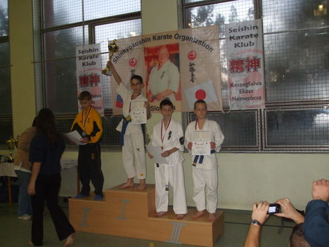 marcell karate 393