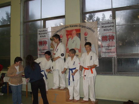 marcell karate 394
