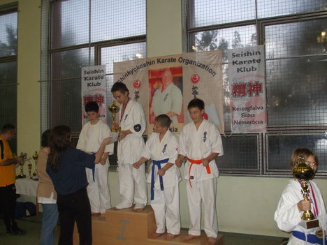 marcell karate 395