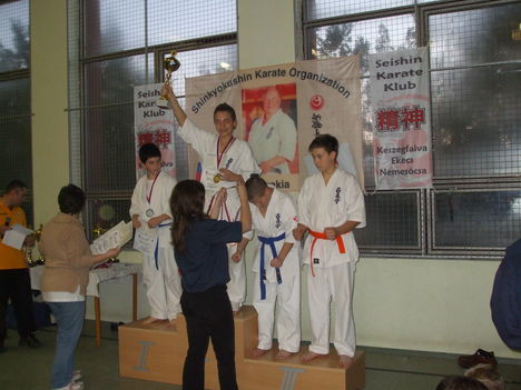 marcell karate 397