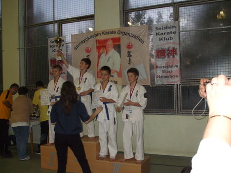 marcell karate 405