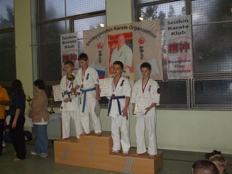 marcell karate 407