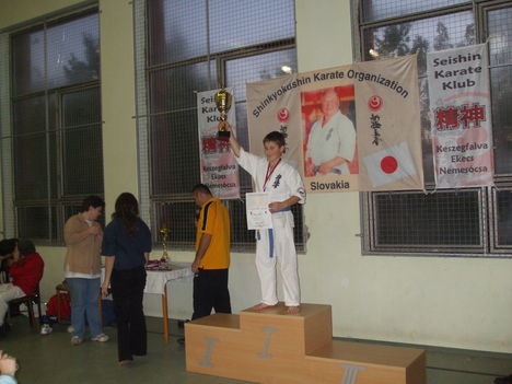 marcell karate 410