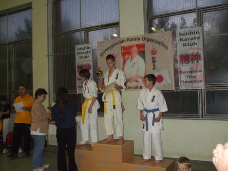 marcell karate 413