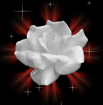 csillogó virágos kép 9