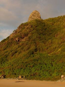 Fernando de Noronha 16