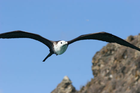 Fernando de Noronha 30