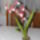 Orchideaim_5-004_975039_56104_t