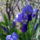 100429_145113_977222_61038_t