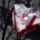 100429_145232_masolata_977447_83971_t