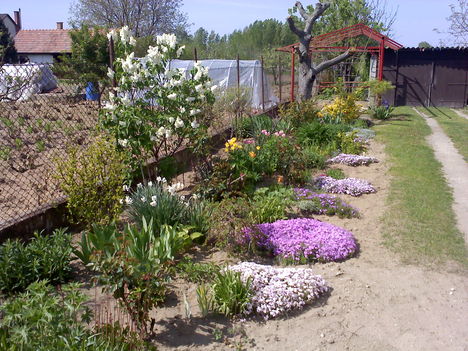 100429_145405