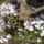 100429_145851_977231_58307_t