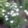 100621_143525_977254_85857_t
