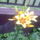 100621_143601_977256_90442_t