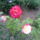 100621_143915_977262_15123_t