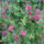 100902_145556_977510_71359_t