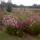 100902_150538_977514_55076_t