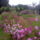 100902_150625_977515_67362_t