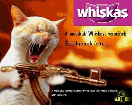 A macskák Whiskast vennének