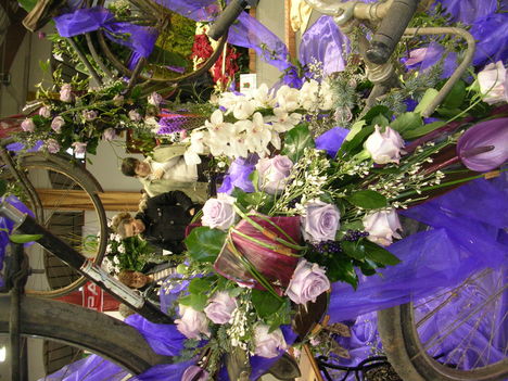 2010 virágkiállítás Kecel 12
